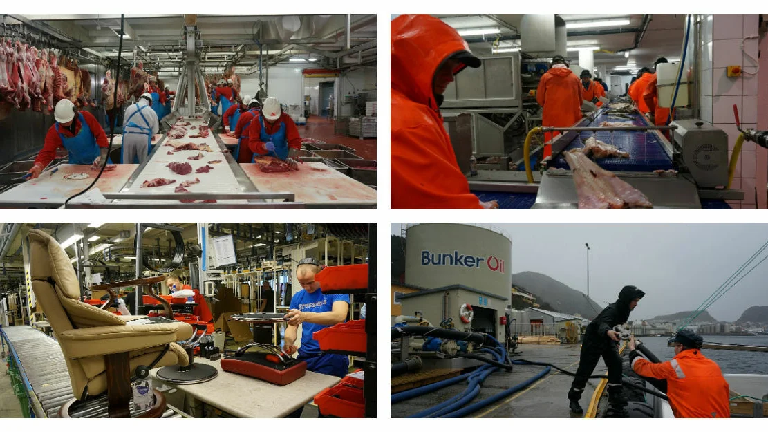 Oppe fv Nordfjord Kjøtt Brødrene Sperre Ekornes Bunker Oil foto Ogne