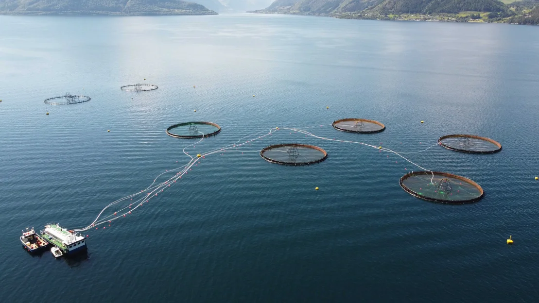 Gadus Alida Voldsfjorden torskeoppdrett foto Gadus Group