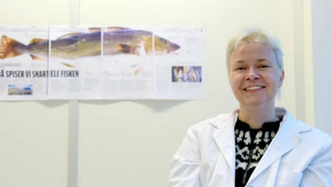 Laksefilet hindra hoegt blodtrykk