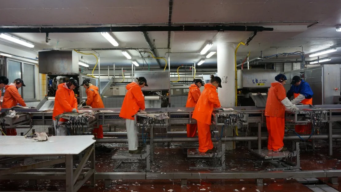 Fiskesalslaget vil ha meir fisk paa auksjon