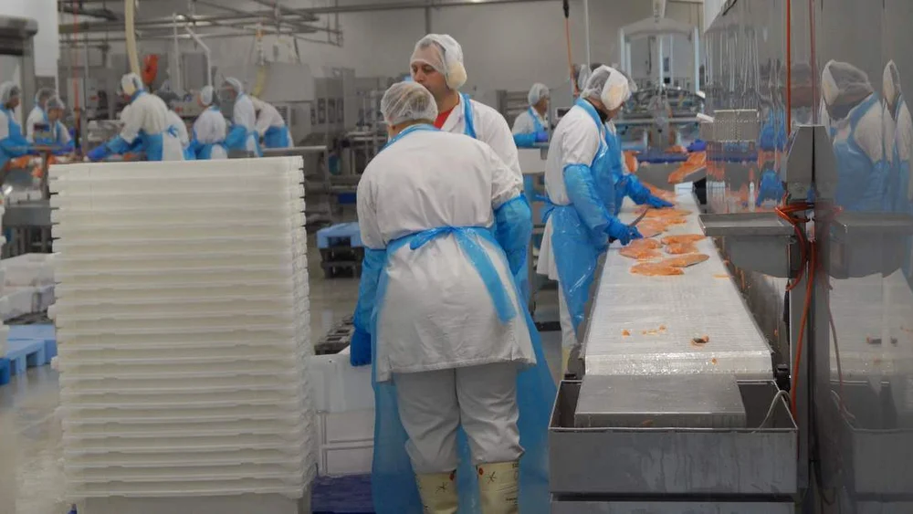 Norsk sjømat stranda laks