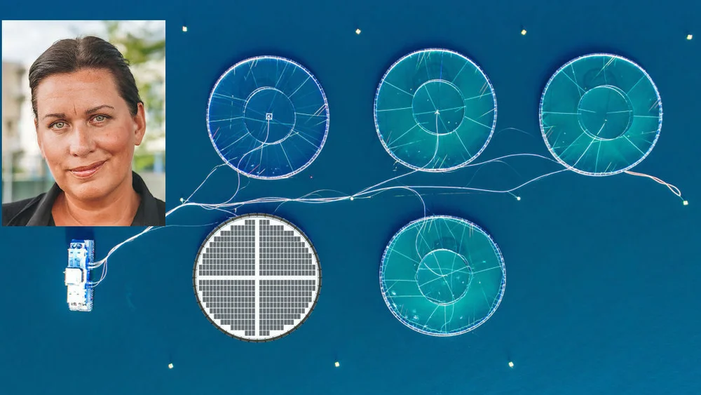 Kari Elin Korsnes Hilde CEO Inseanergy