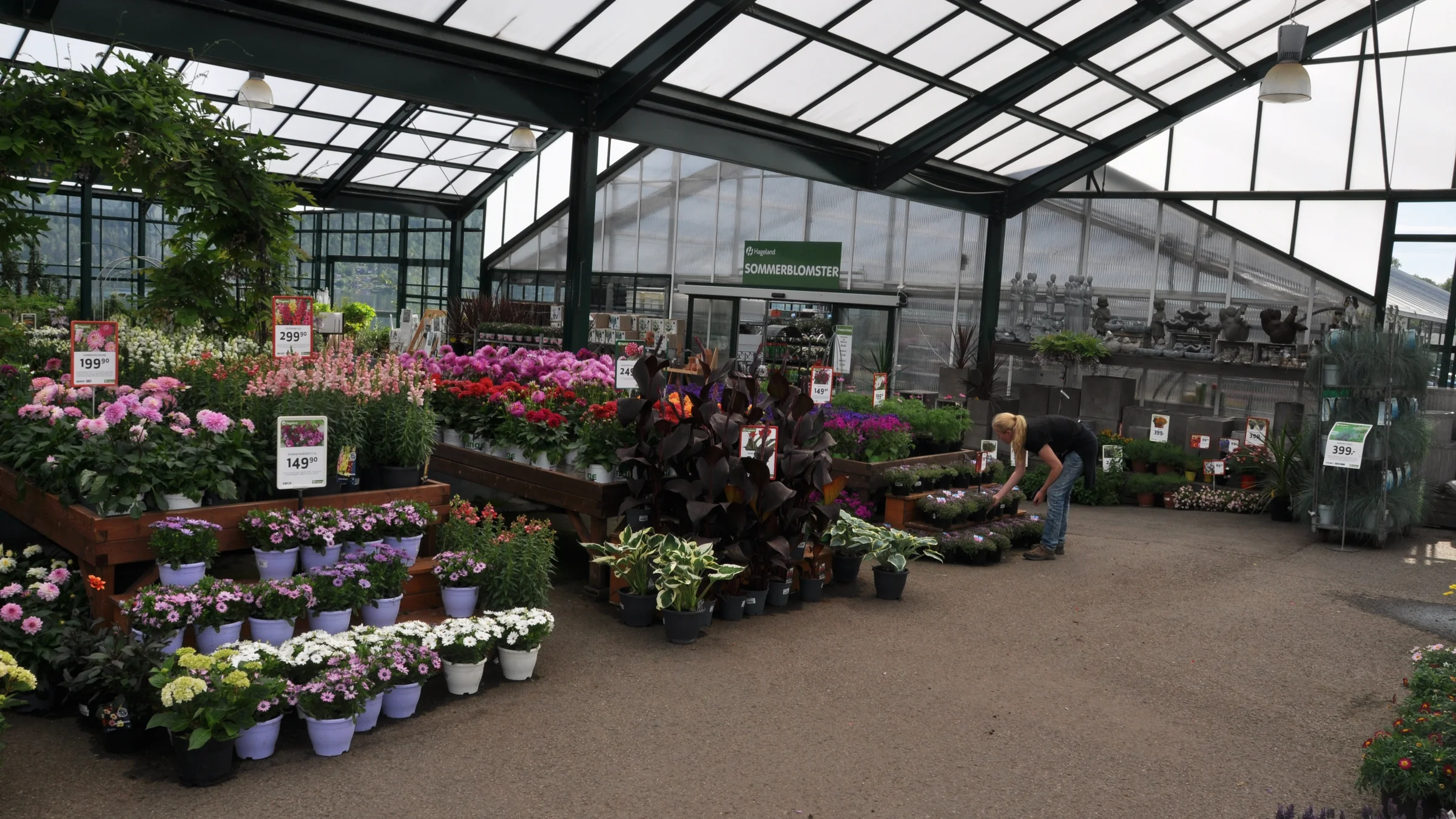 Solid posisjon og gode tall for Viddal