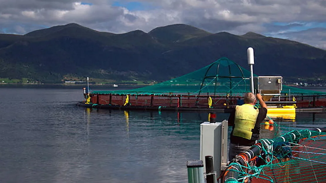 Statt torsk oppdrettsanlegg foto statt torsk