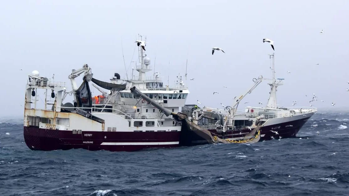 Ny knalldag paa makrellfeltet