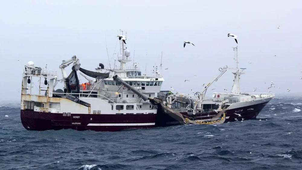 Ny knalldag paa makrellfeltet