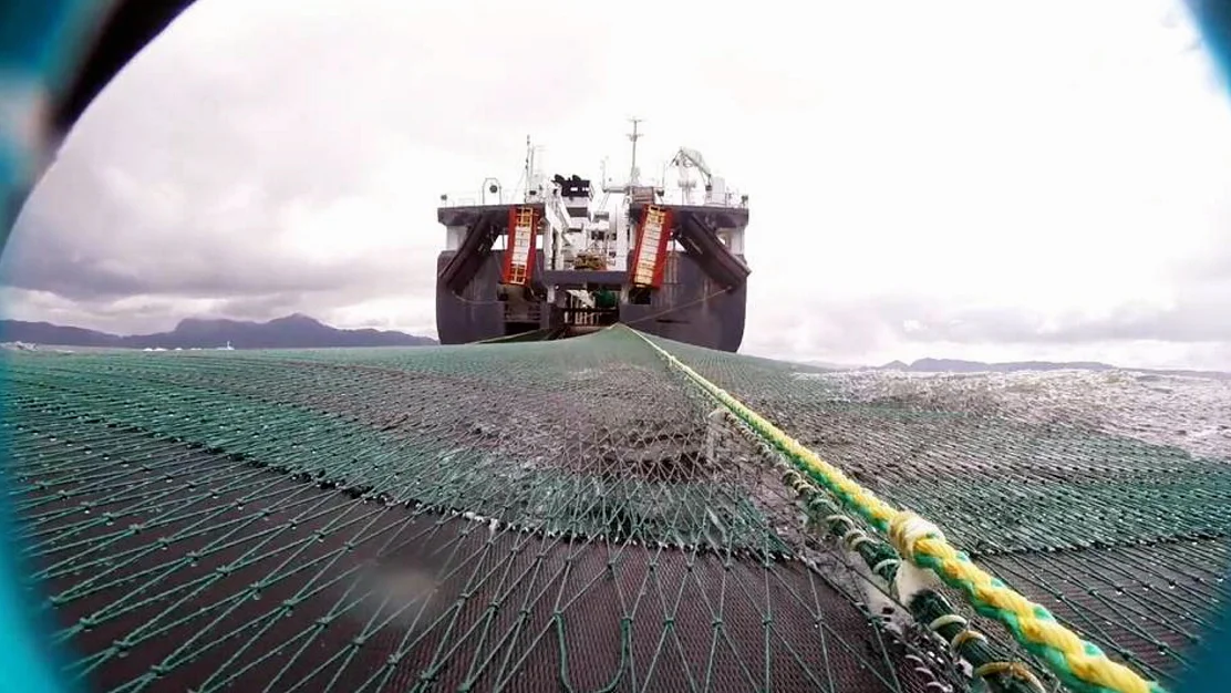 G O Sars trål foto Havforskingsinstituttet