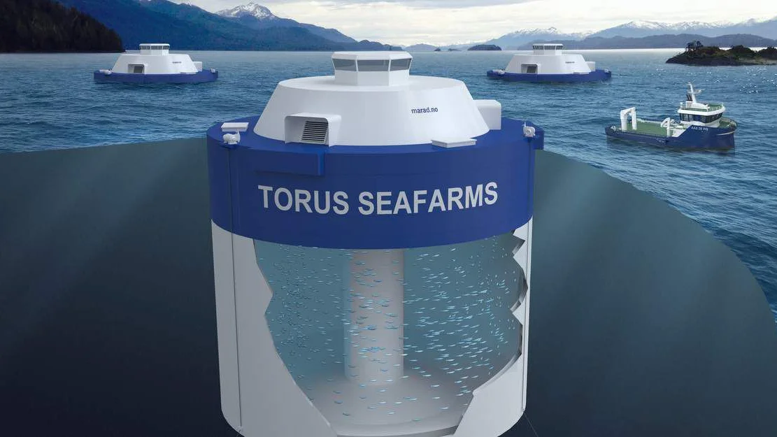 Seier nei til lukka sjoemerd satsing