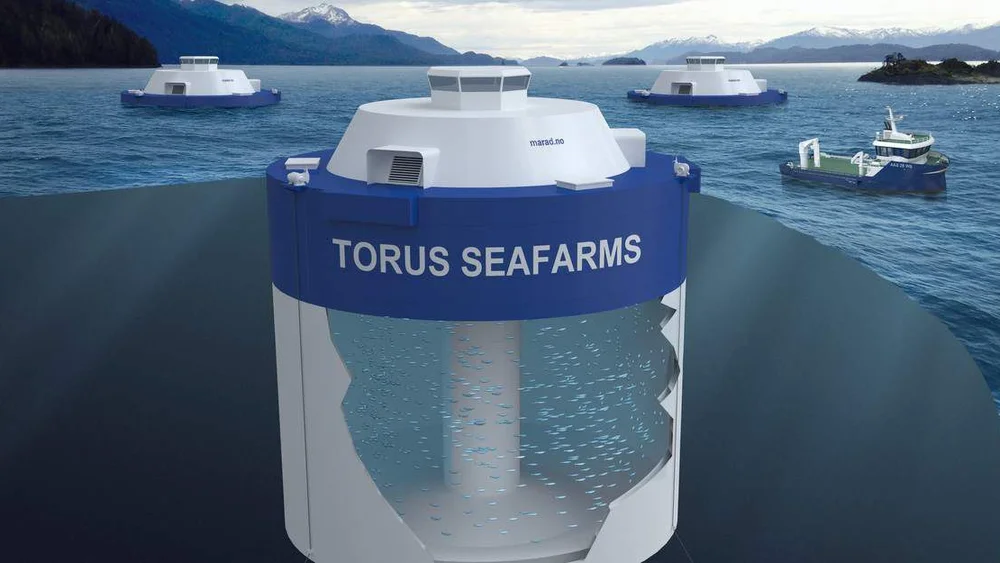 Seier nei til lukka sjoemerd satsing