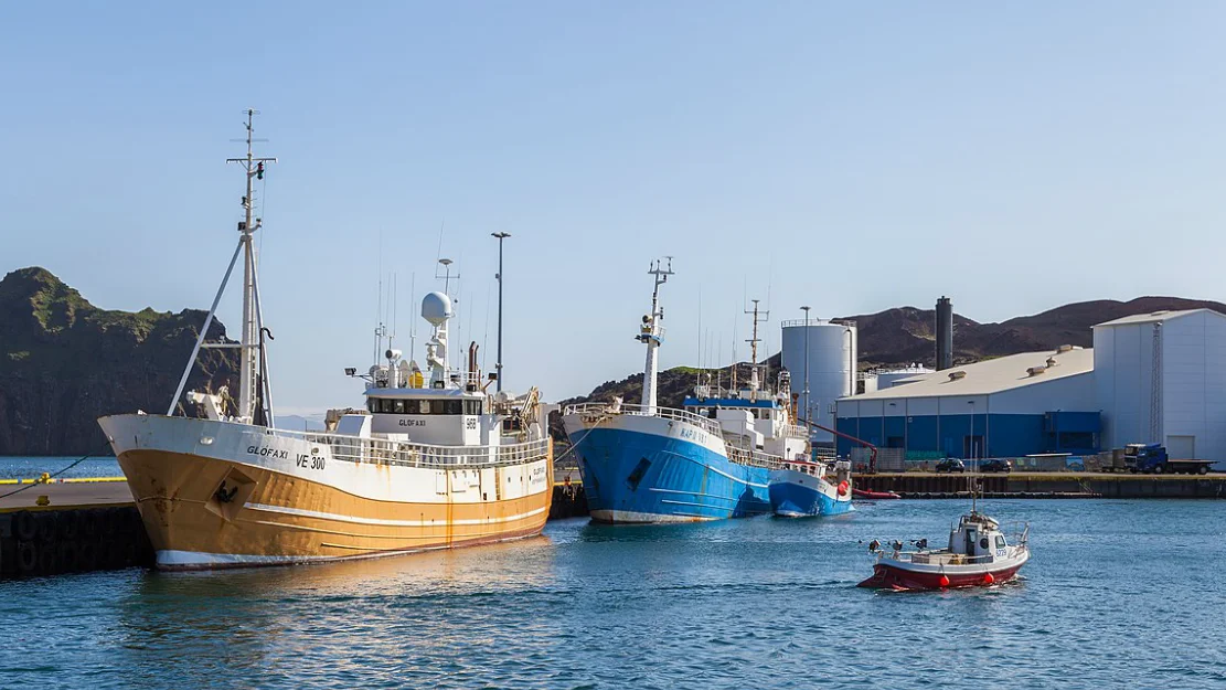 Sjoemat Norge Konkurranse paa ulike vilkaar