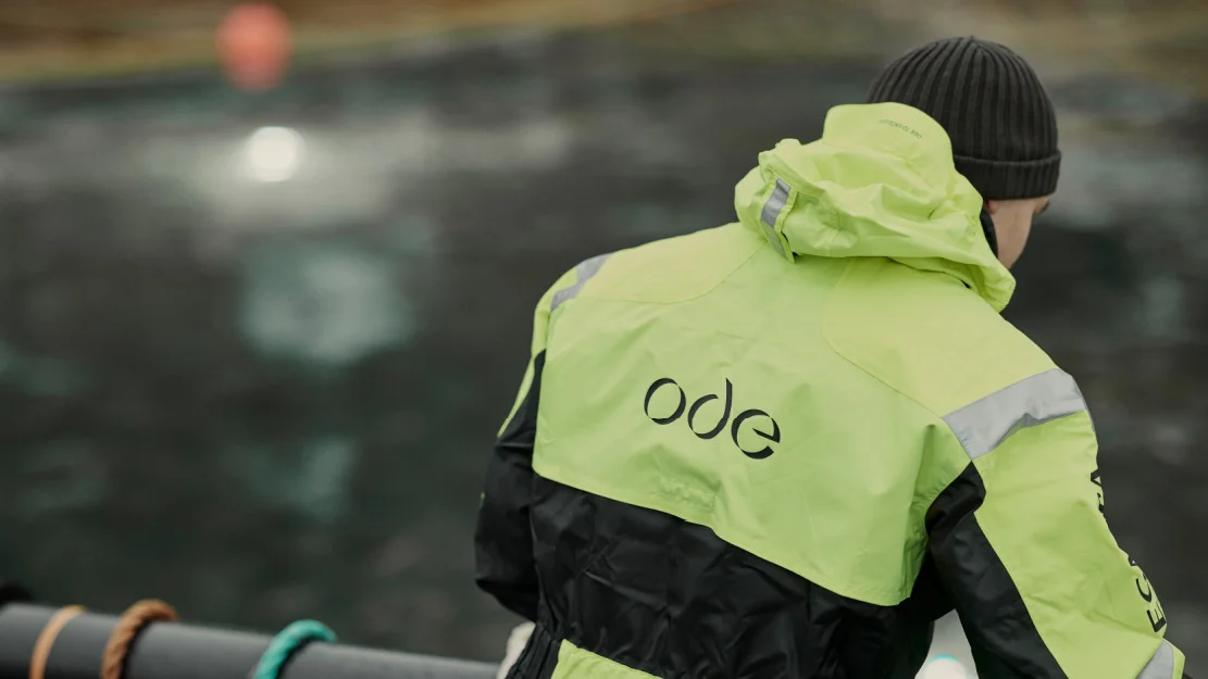 Ode illustrasjonsbilet foto Ode