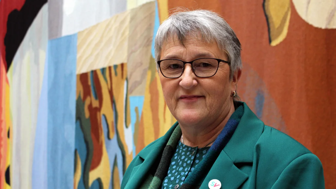 Birgit Oline Kjerstad IKKE GJENBRUK foto npk 11