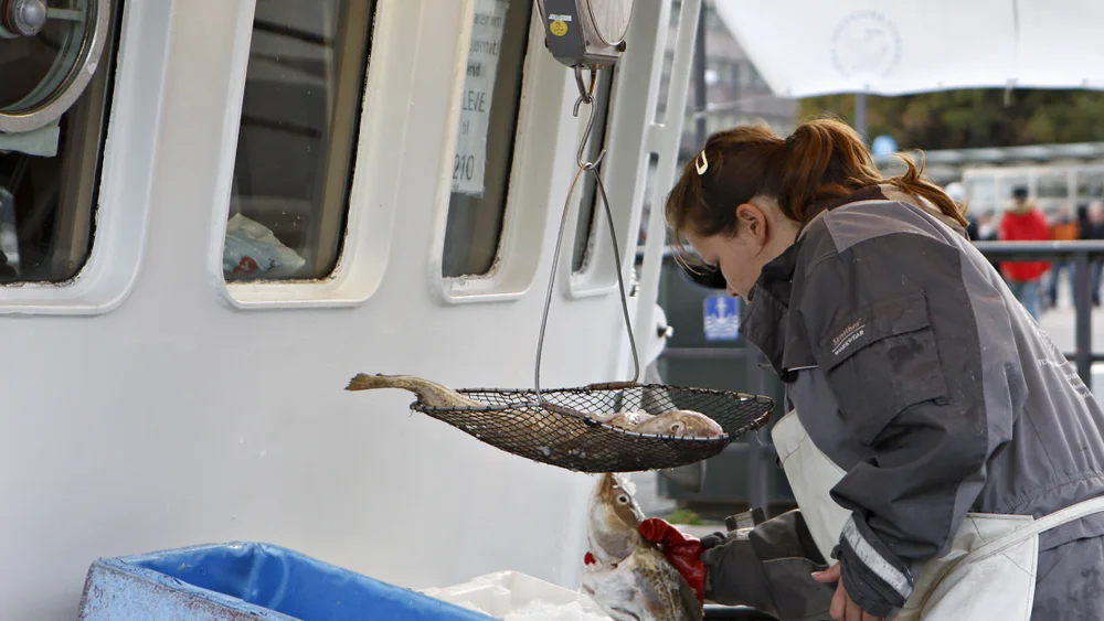 Fiskeri IKKE GJENBRUK npk