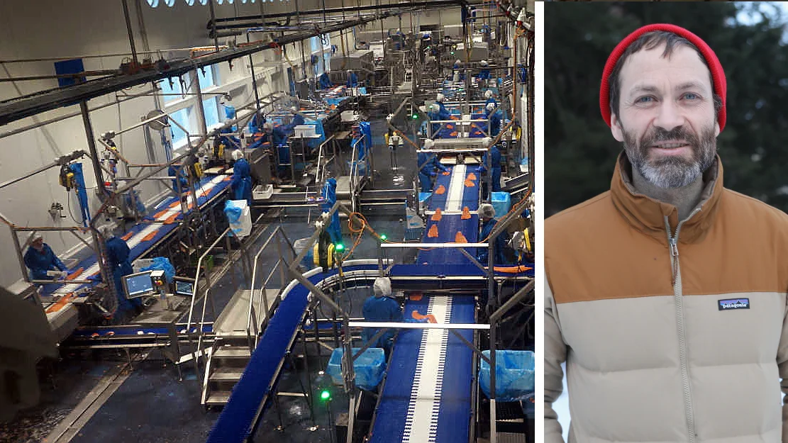 Fiskeforedling ålesund montasje simen sætre foto ogne npk 11