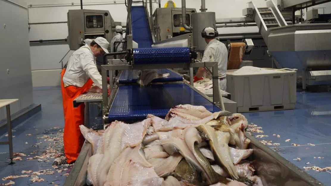 Litt mindre klippfisksal