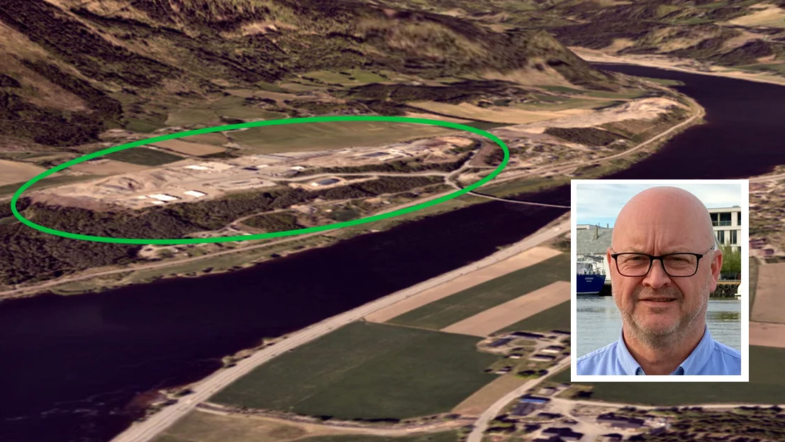 Glocal green innfelt dag nikolai ryste foto illustrasjon glocal green 11