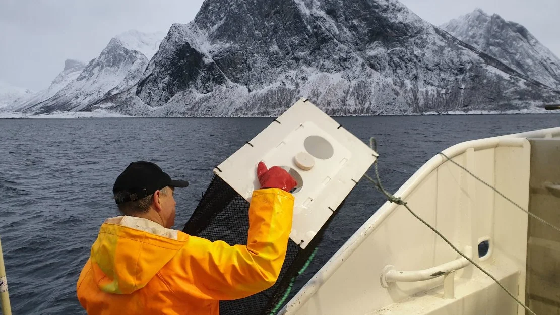 Utviklar reketeine 2 0