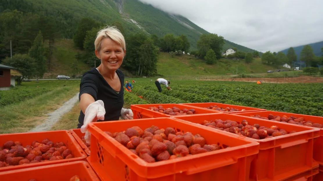 Uvisse foer vaaronna