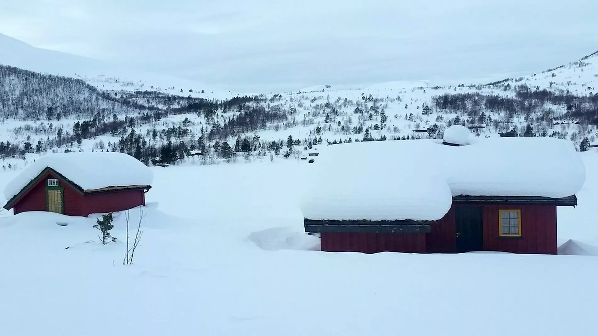 Hytteforbodet Vil gi raad helst ikkje straff