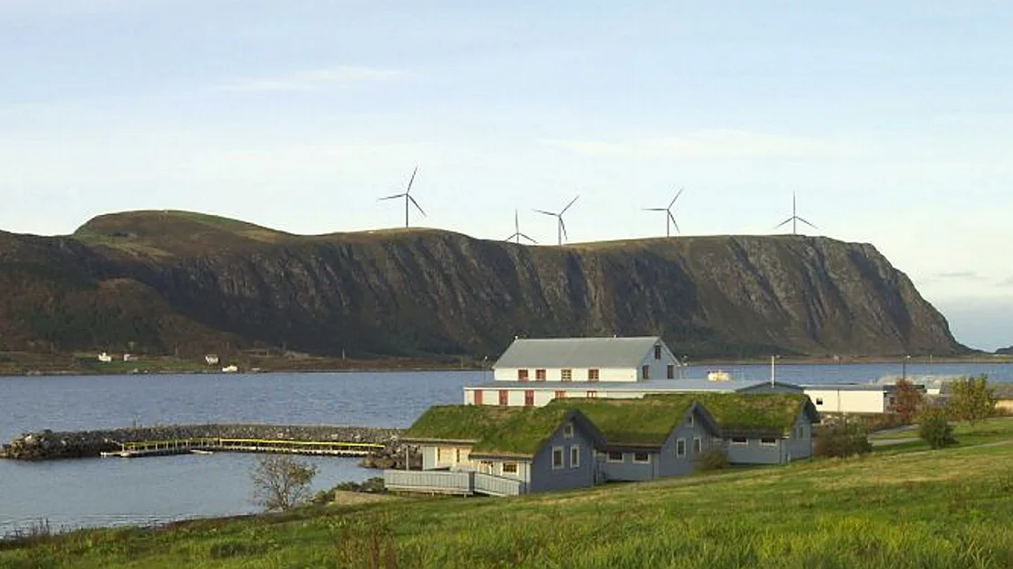 Vindkraftkonsesjonar under lupa