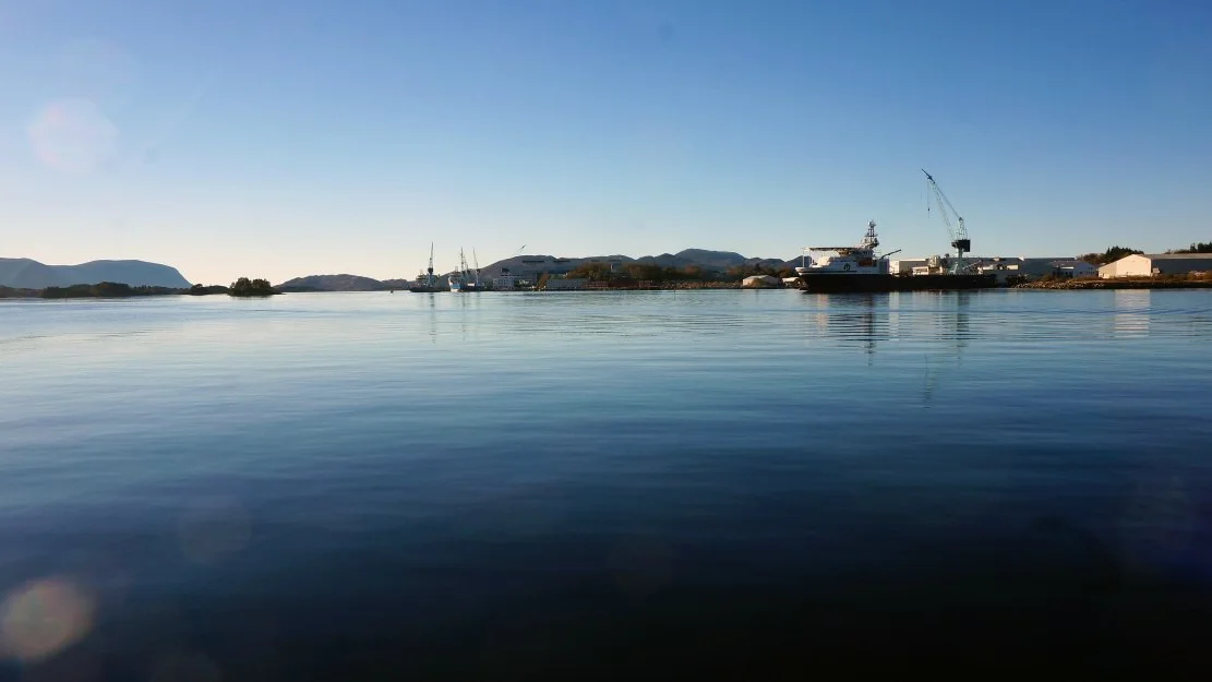 Frykter jobbtap uten utlendinger