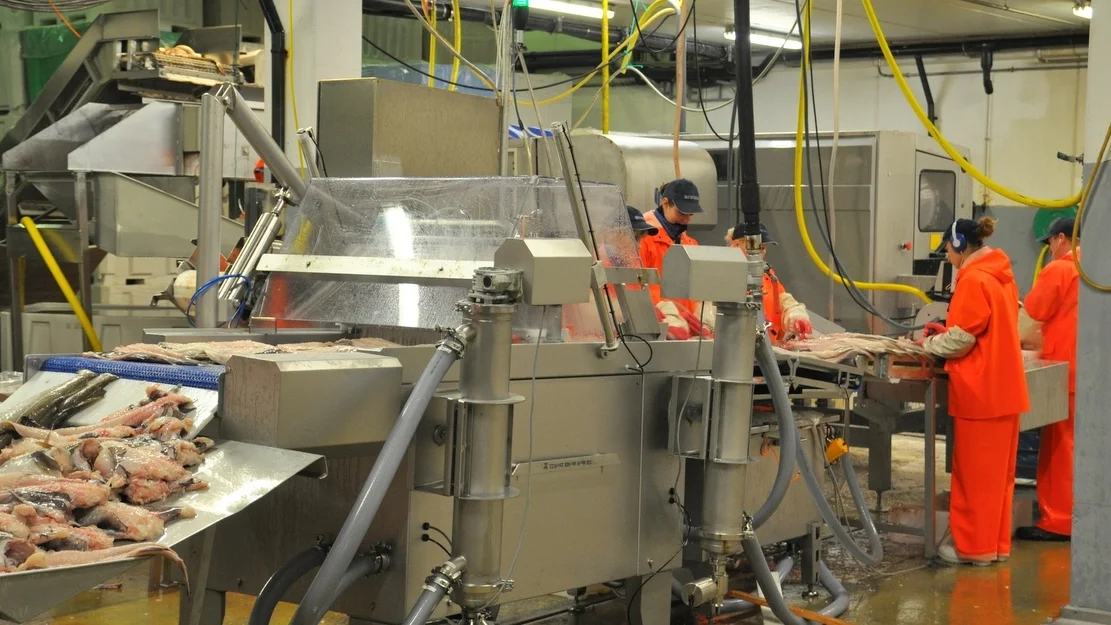 Nils Sperre konsentrerer seg om Ellingsoeya