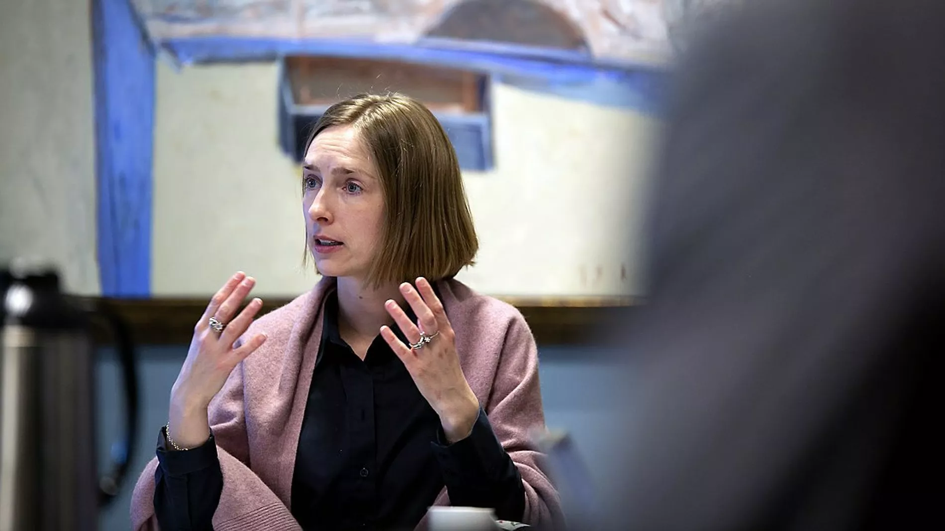 Meir til flaatefornying ferjer og klimafond