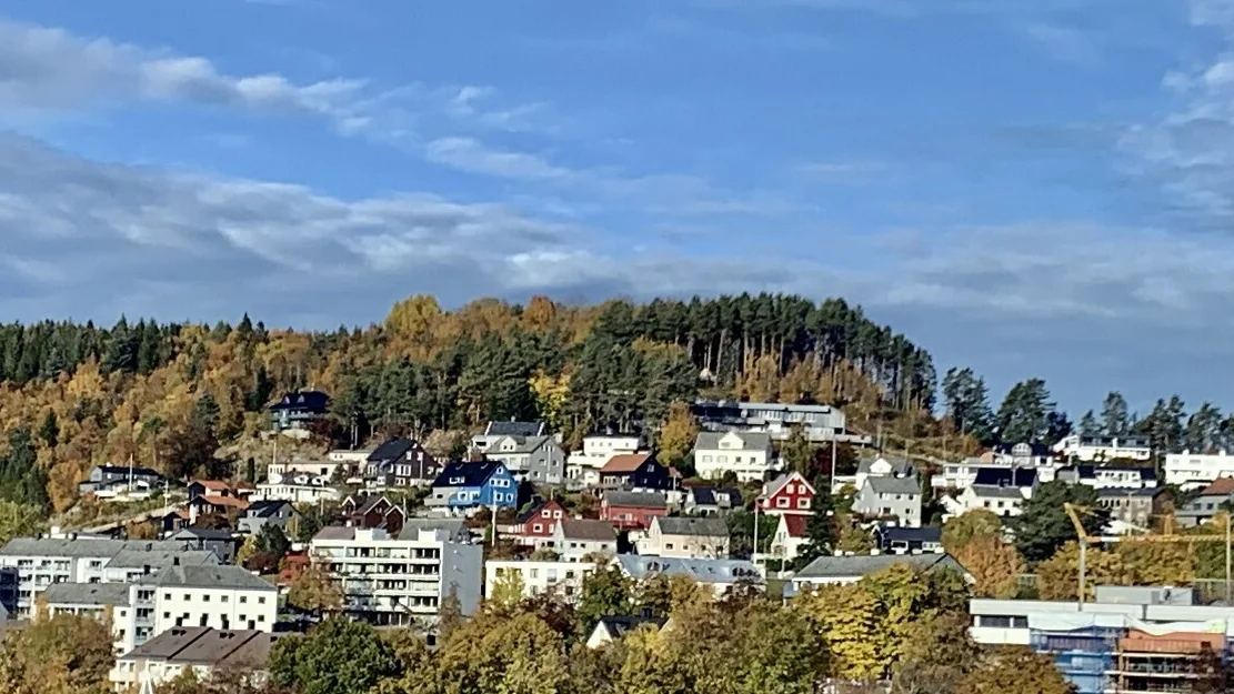 Bolig illustrasjon foto marius 33