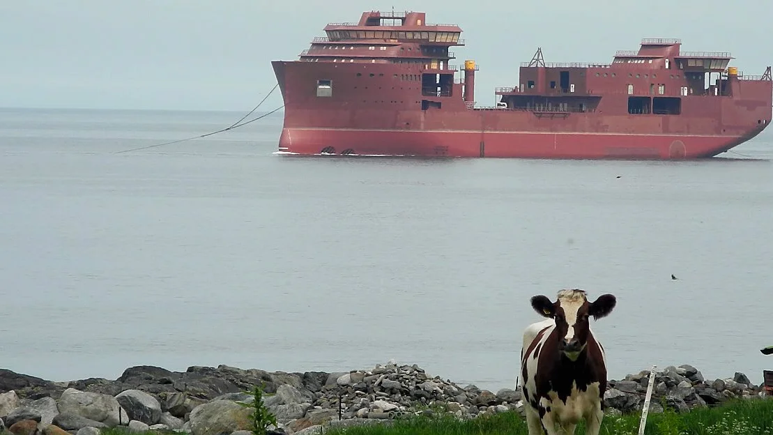 Kom med mykje arbeid til verftsarbeidarane paa Ulstein