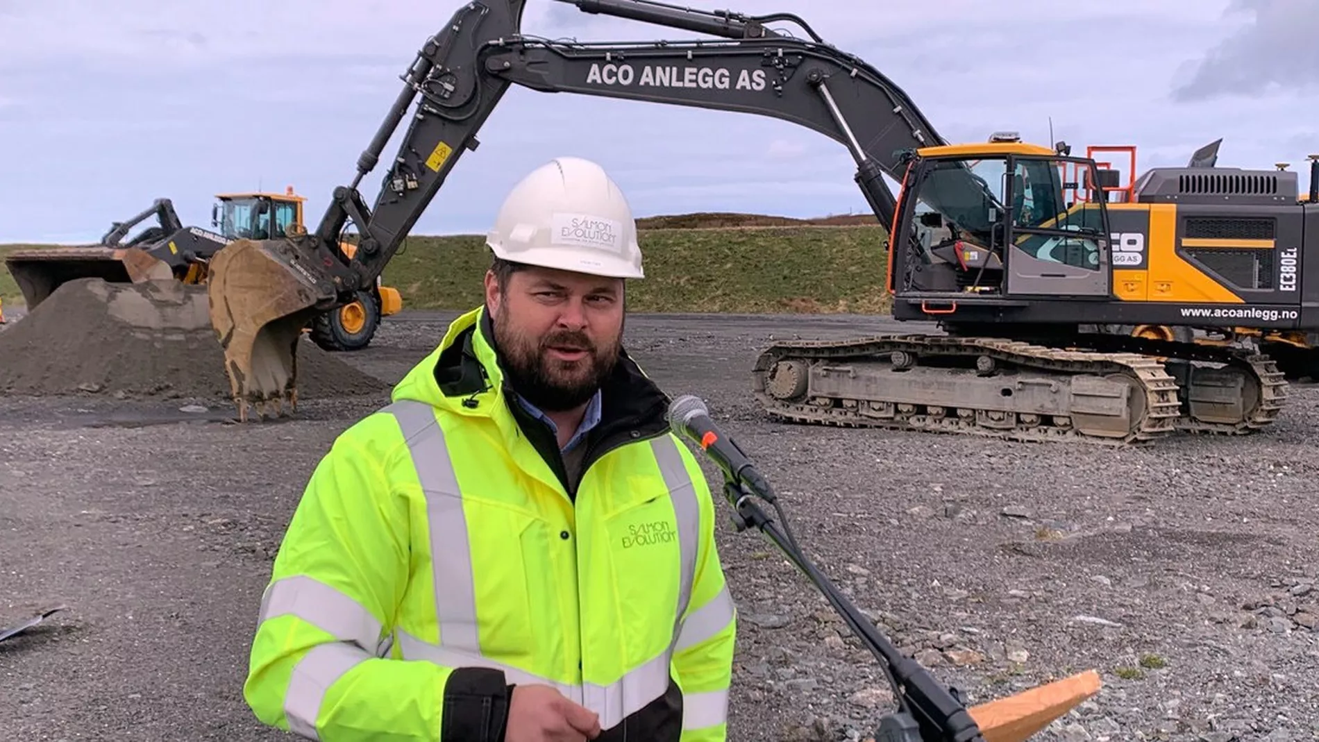 Berg blir fast i direktoerjobben