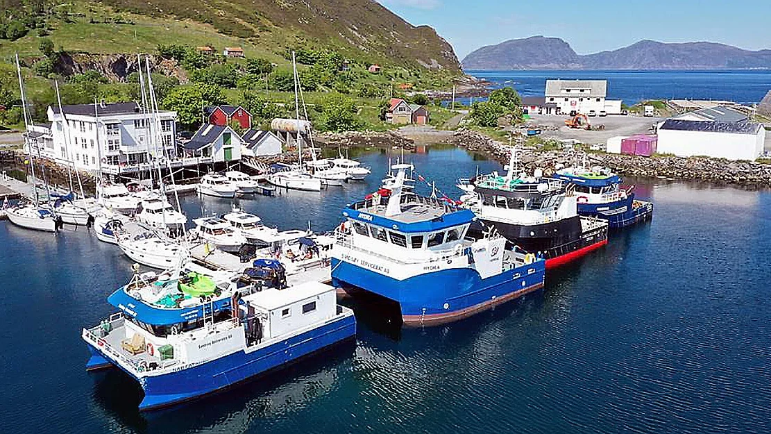 Dette selskapet veks fort