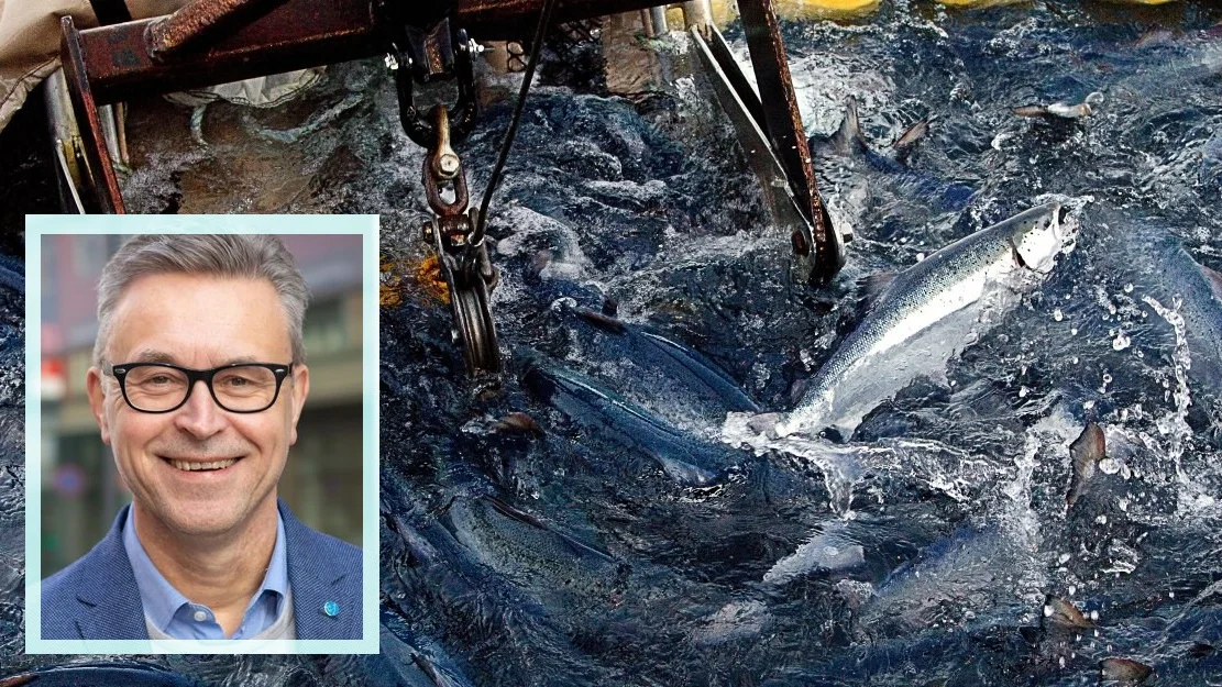 Det er paa grensa til kvalifisert sutring