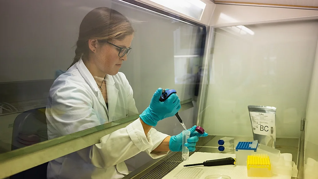 Forskar paa feittsyrer hos nordatlantisk fisk