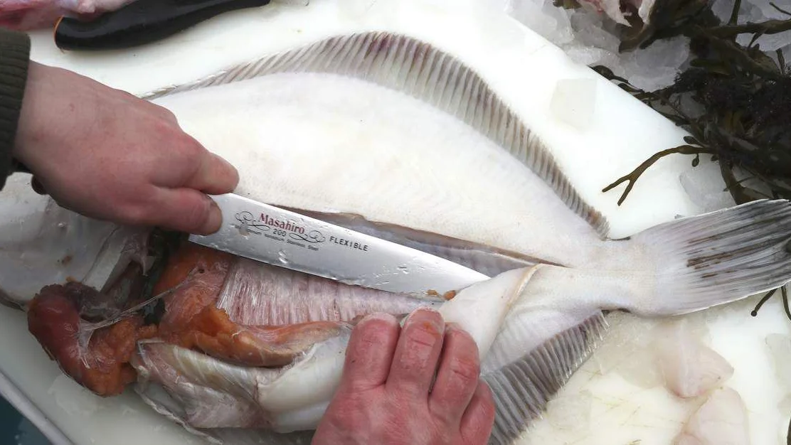 Ny teknologi skal sikre at heile fisken blir utnytta