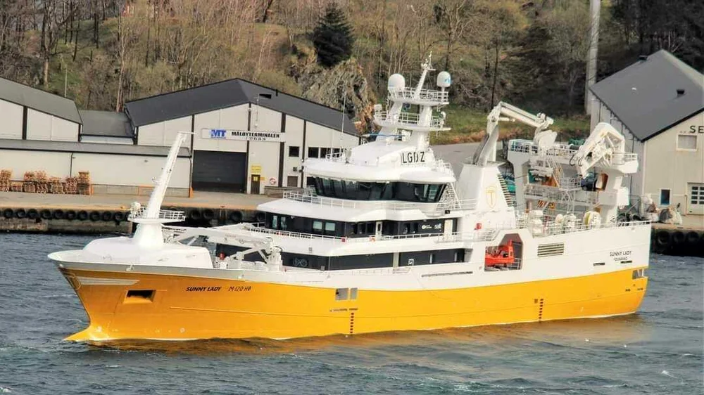 336054128 793276278883864 4529887078798015427 n