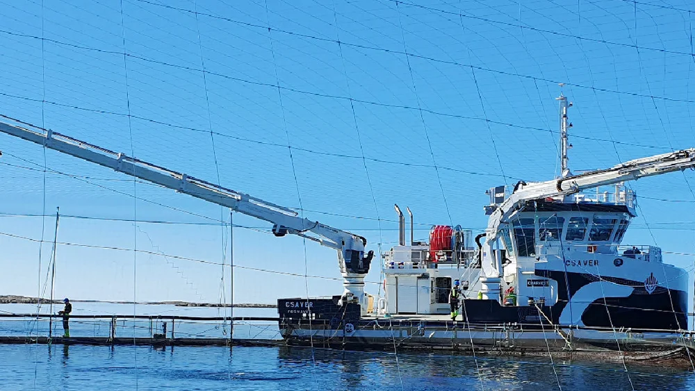 Charvest båt frp Salthammer foto Charvest