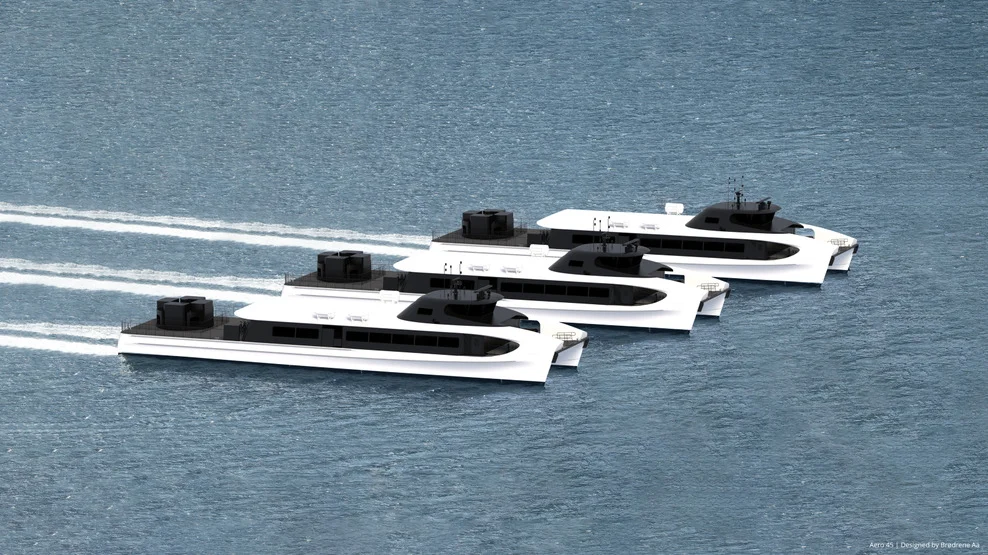 Brødrene Aa Norled illustrasjon