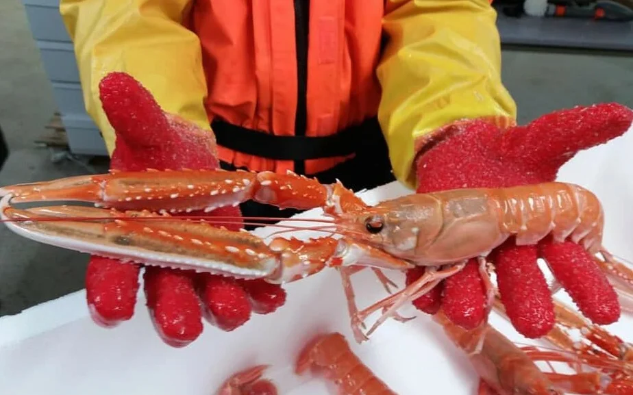 Norwegian Seafood Company