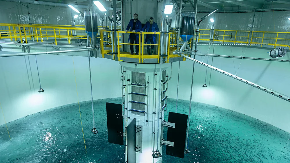 First smolt release March22 09