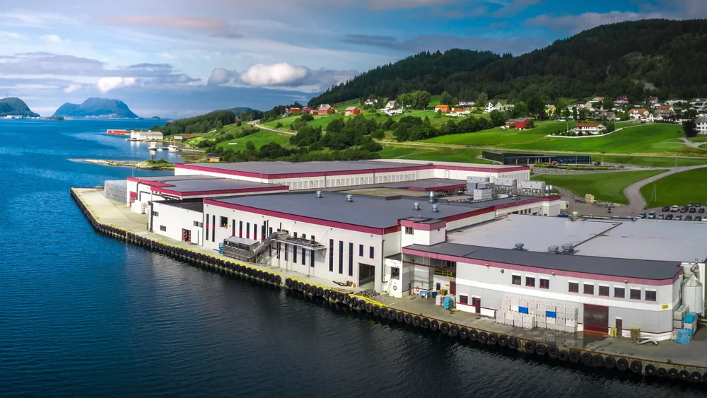 Brødrene Sperre Foto Nanseth Media