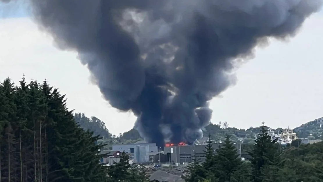 Thumbnail IMG 6694 1