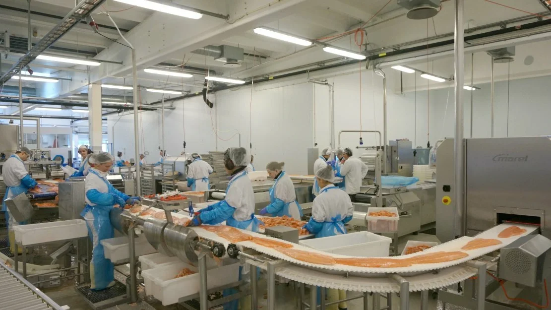 Norsk Sjømat foto ogne