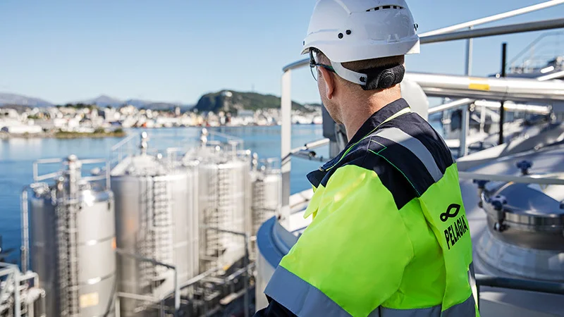 Epax norway as 3 Kristin Støylen