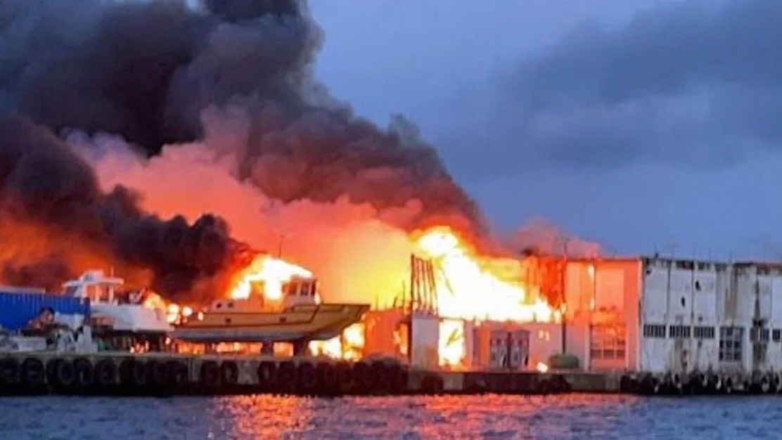 Brann vigra foto mr 110 sentral