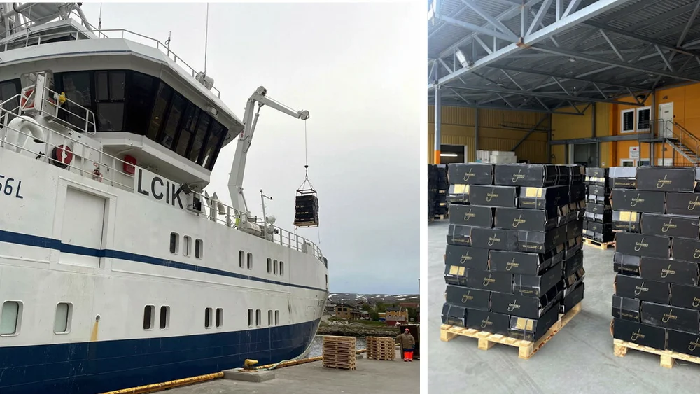 Leinebris phl seagold foto leinebris på facebook 11