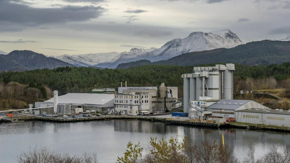 Triplenine Vedde foto Koppernæs