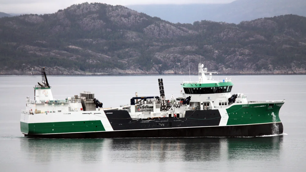 Hordagut foto Cavernia Wikimedia Commons 11