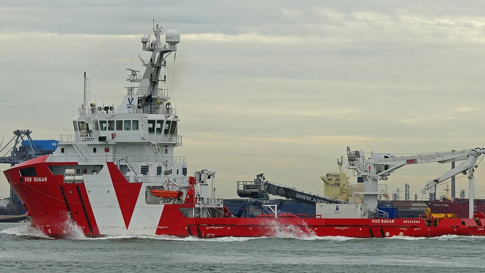 VOS SUGAR 27886493740