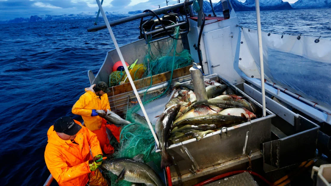 NTB M H2m XIN9s I 1 IKKJE BRUK