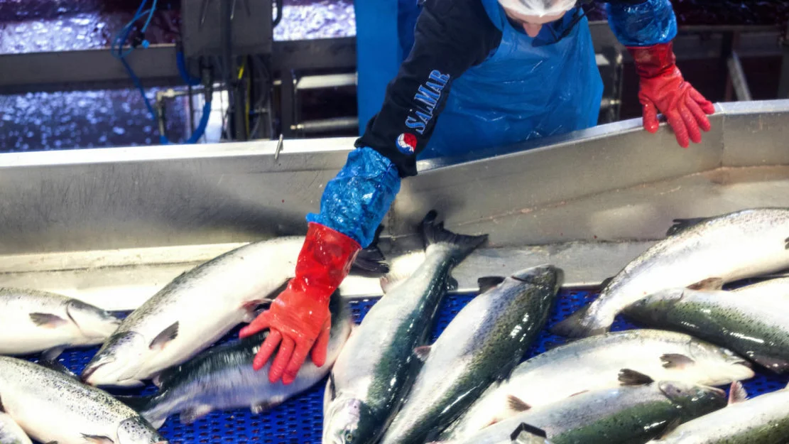 NTB 414 PO Vo X1i I 1